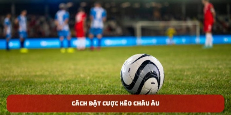 Cách đặt cược kèo châu Âu